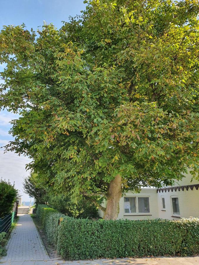 Hagelstein III Herzmuschel Dahme  Exterior foto